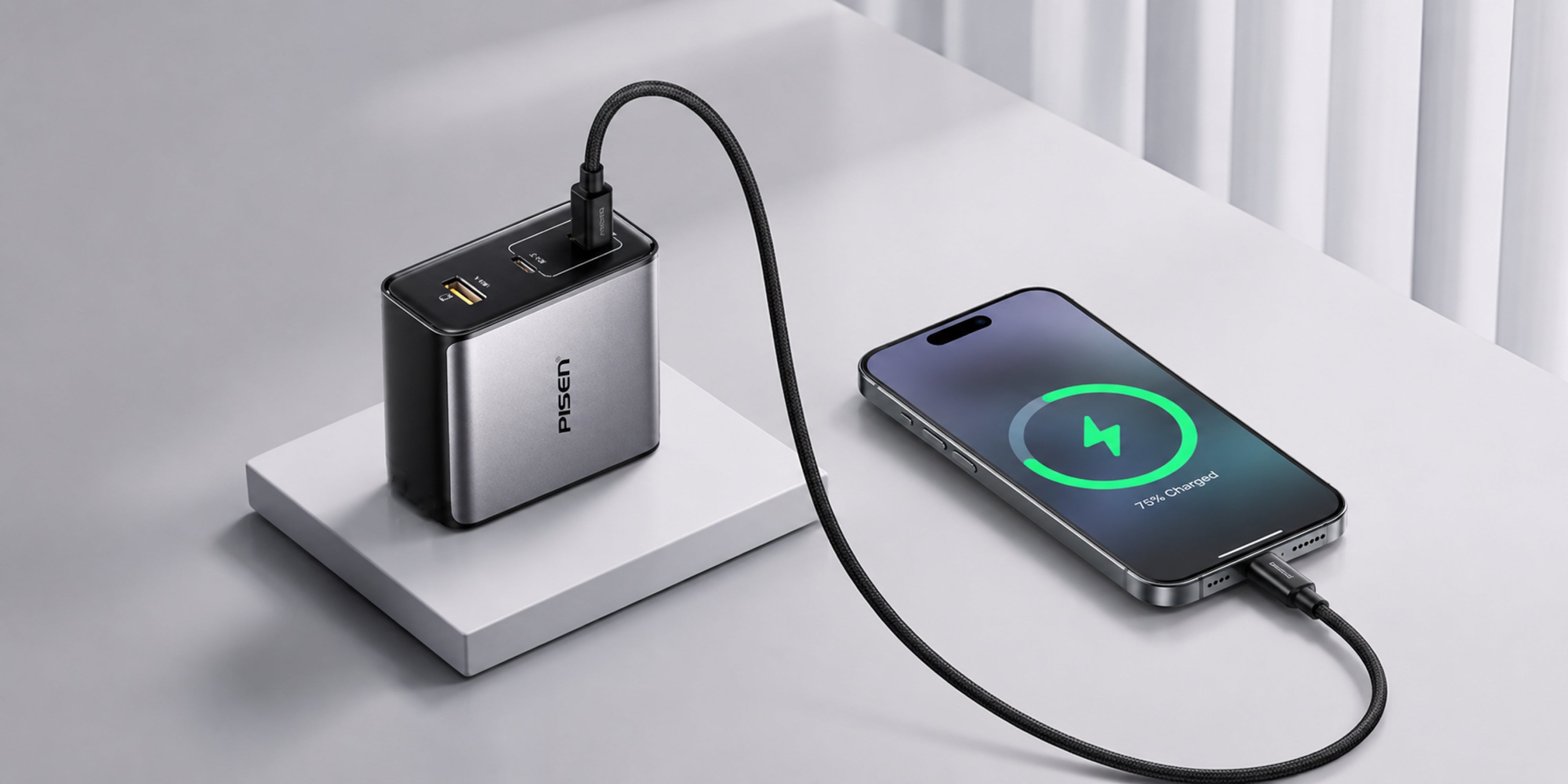 Pisen タイプC充電器